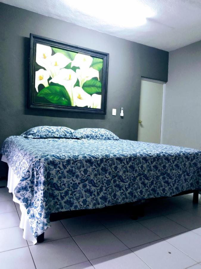 巴利亚多利德 Casa Ixchel - 450M To Downtown, Wifi, Hot Water, Ac酒店 外观 照片